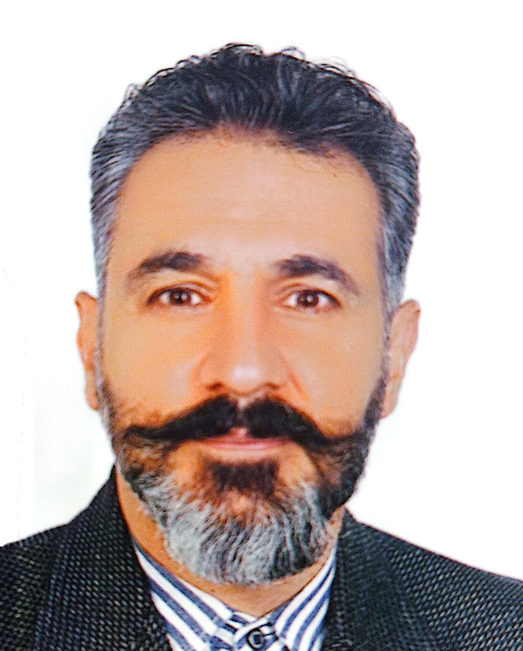 سید حمید داودی